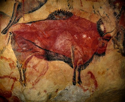 bison1171794340 Cool Tour Spain